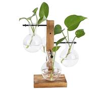 Vase à bulbes de jardinière en Verre, Vase hydroponique innovant, kit de Terrarium pour Plantes de Bureau avec Support en Bois, Vase à Fleurs de Bureau Transparent pour la Maison