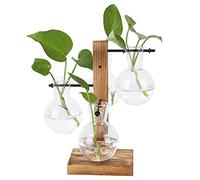 Vase à bulbes en Verre, kit de Terrarium pour Plantes de Bureau avec Support rétro en Bois Massif, vases de Propagation pour Plantes, Plantes hydroponiques, décoration de Maison