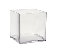 Vase à cube acrylique clair OASIS® (15 cm), claire, Lot de 2