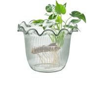Vase à Fleurs - Récipient Transparent Moderne, élégant Pot de Fleurs à Propagation d'eau, pièce maîtresse Minimale pour Un Style Contemporain | Table d'entrée d'étagère de comptoir de bur