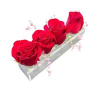 Vase à fleurs rectangulaire en acrylique - Arrangement floral moderne pour la décoration intérieure - Vase à fleurs en acrylique transparent comme centre de table à manger - Vases rectangulaires bas