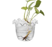 Vase à Fleurs Transparent - Vase Hydroponique,Pot Hydroponique pour Boutures Décorations Florales Décors Photos Bibliothèque Bureau Cuisine Hall d'Hôtel Événements