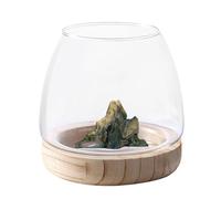 Vase : aquarium dans un vase transparent avec base en bois | Aquarium écologique, vase de fleurs comme accessoire de panneau, bol en verre décoratif comme décoration pour mariages et