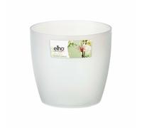 Vase Bruxelles Orchid 16CM Transparent ELHO Pour Orchidées