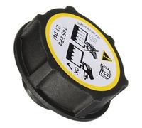 Vase D’expansion Universel Compatible Avec Ford Pour Transit MK7 2006-2014 Pour Transit Pour Connect 2012-2025 Couvercle Réservoir D'expansion Radiateur Liquide Refroidissement DG938101AA