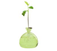 Vase d'avocat en Verre Transparent, Vase hydroponique, Pot de Fleurs, Pot de Culture d'avocat, Pot de Fleurs Transparent, Pot de Fleurs coloré, pour Les Amateurs de Jardin