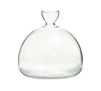 Vase de culture d'avocat - Vases en verre à d'avocats - Cultivez votre propre avocat - Support de hydroponique en verre pour la culture de la germination - Vases de plantation de