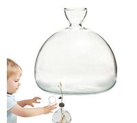 Vase de Culture en Verre pour avocats et châtaignes, Vase Transparent hydroponique, kit de Culture d'avocat, récipient d'avocat, décoration d'intérieur, Cadeau pour Les Amateurs de Jardin