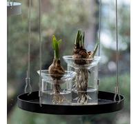 Esschert Design Vase de Germination Ouvertures Multiples