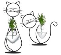 Vase de propagation pour fougères aquatiques, pots de plantes propoguées, joli bulbe hydroponique, 2 supports en fer avec terrariums en verre pour plantes d'intérieur, stations de vase