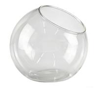 Vase de terrarium en verre borosilicate pour plantes vivantes avec construction sans couture et transparent (13,5 cm)