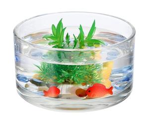 Vase Décoratif en Verre Rond Transparent pour Terrarium et Fleurs | Usage Maison ou Présent, Haute Transparence, Forme Ronde, Finition Délicate, Objet pour Poisson et Fleur