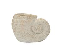 Vase Mauro Ferretti Shell A Beige 33x19x23 cm