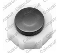 Vase d'expansion, liquide de refroidissement CALORSTAT BY VERNET ET0132C2