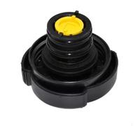 Vase D'Expansion Liquide Pour BMW 3 E46 Pour X3 E83 Pour X5 E53 Z4 E85 E86 17111436413 17117573751 17132247553 17117573781 17137787039 Vase D'expansion D'eau(Lid)