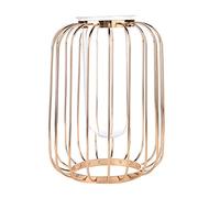 Vase en fer forgé, pot de fleurs, lanterne, verre, fer, vase de fleurs de table, design simple et tendance, vase pour tenir des plantes ou d'autres objets