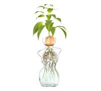 Vase en Verre, 3,2x5,5 Vase de Silhouette Femelle pour Une Ampoule poussant des vases de Bourgeon Clair élégant Petit Pot de Plante pour enracinement de l'eau