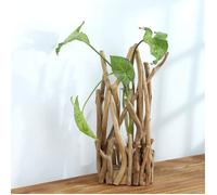 Vase en verre en forme de tube pour plantes hydroponiques Décoration d'intérieur avec support en bois,Large,15x15x31cm