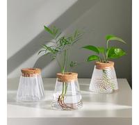 Vase en verre pour plantes de terrarium - Station de propagation - Petit vase à fleurs - Hydroponique - Avec lèvre en bois - Pour plantes, cadeau, salon, bureau
