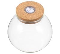 Vase en Verre Rond de Propagation avec Couvercle en Liège | Bocal Transparent, Fermeture Sûre, pour Plantes et Fleurs, Bureau et Occasions Spéciales
