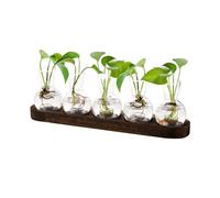 Vase en Verre, Station De Propagation De Plantes, Terrarium pour Plante avec Support en Bois, Vase à Bulbes pour Plantes Boutures Hydroponiques, Vases à Fleurs Décoration Maison, Bureau Et Patio (02)