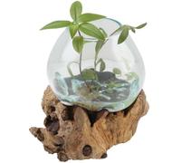 Vase en verre sur bois de racine - Diamètre : 20 cm - Hauteur : 27 cm - En verre recyclé et racine de teck - Fait à la main - Extravagant - Décoration d'intérieur - Vase naturel A20 - Idée cadeau
