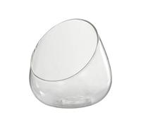Vase en Verre Transparent, Bol Incliné Mini 12x12 cm, Plat à Bonbons, Pot à Fruits, Bol de Terrarium pour Table