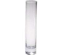Vase en verre Vase de fleurs de Sandra Rich série Solifleur transparent 25cm