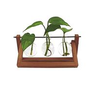 Vase Hydrofuge | Vase avec Support | Vase en Verre | Support en Bois | Décoration Moderne | Tresser | Vase à Fleurs | Vase en Verre Racine | Vase en Verre | Vase hydroponique