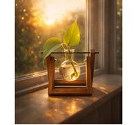 VASE HYDROPONIQUE DESIGN A SPHERE EN VERRE ET SUPPORT BOIS