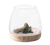 Vase Hydroponique en Verre, Bocal À Poissons en Verres pour Poissons Betta/Rouges, Fish Bowl Aesthetic Home Decor, Vase Bocal À Poisson en Verre Transparent avec Support en Bois