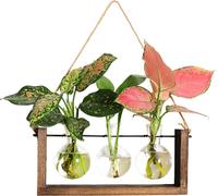 Vase hydroponique mural Plante verte Vase en bois pour salon Décoration intérieure