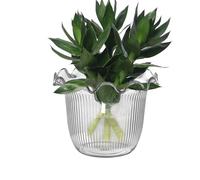 Vase hydroponique transparent pour hôtel, hall, bibliothèque, centre de table, vacances, lieu de travail, événement, balcon