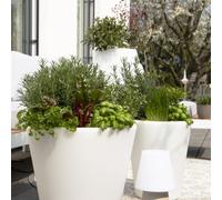 Vase Lumineux Classique xm 32063 Design 8 Saisons