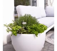 Vase Lumineux Sinuous XM 32056 Design 8 Saisons