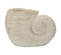 Vase Mauro Ferretti Shell A Beige 33x19x23 cm