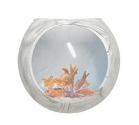 Vase mural en silicone, vase à fleurs mural | Vases muraux en silicone pour d'intérieur,Station de propagation du globe oblat, support mural transparent pour aquarium pour aériennes, succulentes, hydr