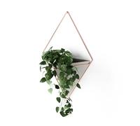 Vase mural et décoration géométrique Umbra Trigg - jardinière pour plantes d'intérieur, plantes succulentes, plantes aériennes, cactus, plantes artificielles et plus encore, en béton/cuivre, grand, 1 pièce