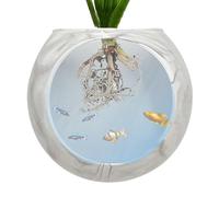 Vase mural, pot de mural transparent - Vases muraux pour la décoration, jardinière en silicone - Support mural pour aquarium, support de à air transparent pour Terrarium, Station de propagation pour s