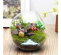 Vase Paysager en Verre Géométrique avec Plantes Artificielles, Pots pour Succulentes, Terrarium, Boules Transparentes