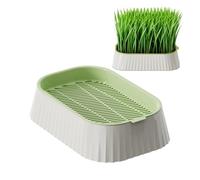 Vase pour chat, plateau amovible et réutilisable à 2 niveaux, pour chat, pour animaux domestiques, intérieur, extérieur, haut de table et seuil