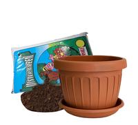Vase Sol Rond Avec Soucoupe Et Terreau Plastique Terre Cuite pour Fleurs Plantes
