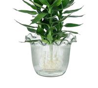Vase Transparent, planteur hydroponique de à Eau, Support de Fleurs en Verre élégant pour Les décors Photo, décoration de Vacances, de l'hôtel, étagères, événements, Cuisines et Tables à