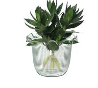 Vase Transparent pour Fleurs,Vase à Aquatiques - Pot Hydroponique pour Boutures Décorations Florales Décors Photos Bibliothèque Bureau Cuisine Hall d'Hôtel Événements