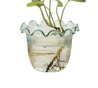 Vase Transparent pour Fleurs | Vase Décoratif,Pot Hydroponique pour Boutures Décorations Florales Décors Photos Bibliothèque Bureau Cuisine Hall d'Hôtel Événements