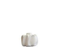 Vase Wabi Bouleau Bouleau