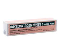 Vaseline Gomenolée 5% Pommade Tube 15g