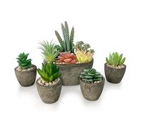 Vasemouh Succulentes Artificielles, Plantes Artificielles Grasses D'intérieur, Quatre Petites Plantes Fausses et Une Grande Succulente Artificielle pour Décorer Le Bureau, La fenêtre, Lot de 5