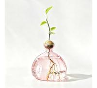 Vases à fleurs d'avocat en verre pour avocats et châtaignes, pot de fleurs hydroponique coloré en verre hydroponique pour fleurs, décoration de table, salon, table basse (rose)