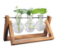 Vases Ampoule en Verre, Ampoule de Verre Pot de Fleurs avec Support en Bois et Métal Tige pour Plantes Hydroponiques, Décorati[339]